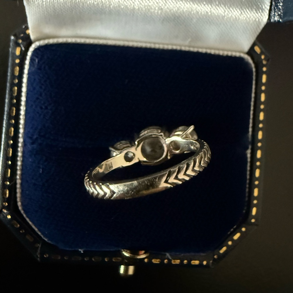 Digby and Iona 14K white gold Salt and Pepper Diamond Ring size 4 - Picture 12 of 12